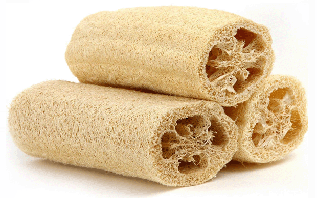 LOOFAH SPONGE