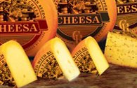 Gouda Natural ( Cheesa ) With flavours