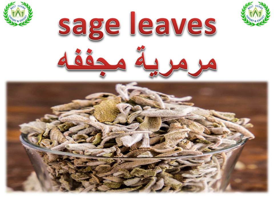 sage for export and import