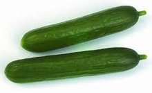fresh cucumber