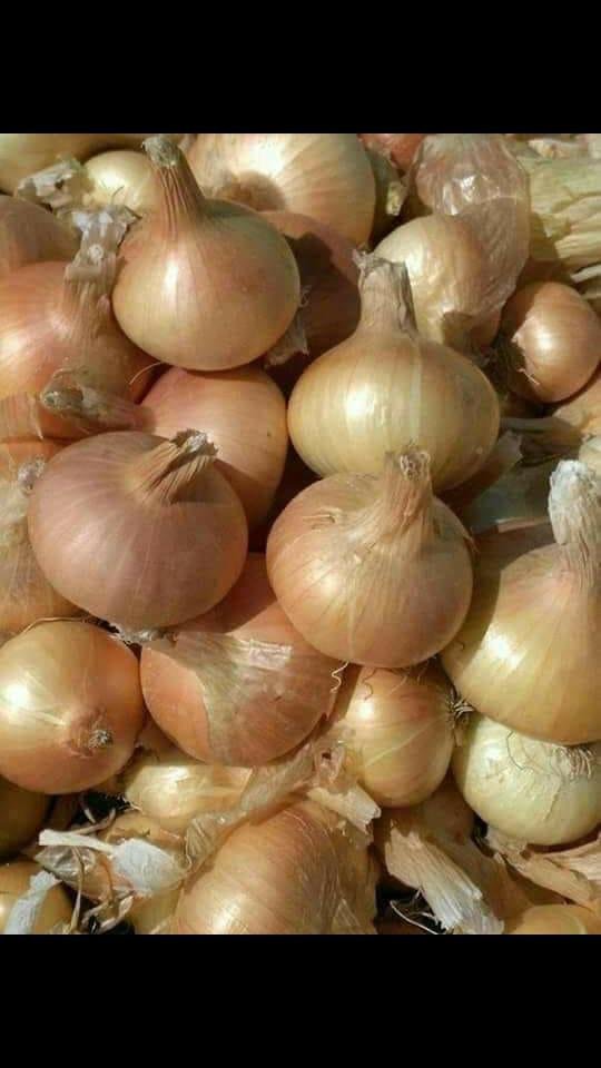 Onions#بصل