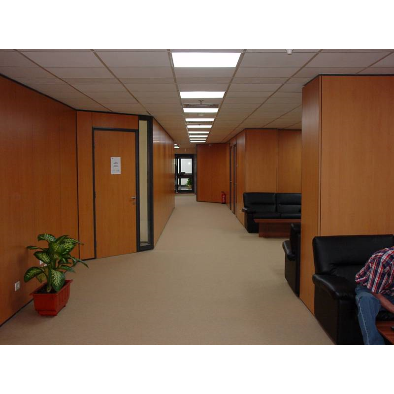 Office Partations P5