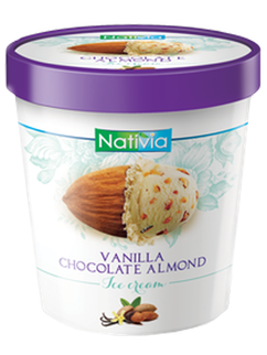 Dairy Vanilla Chocolate Almond Ice Cream