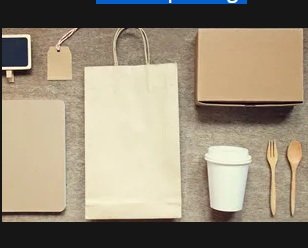 Kraft Paper Bags