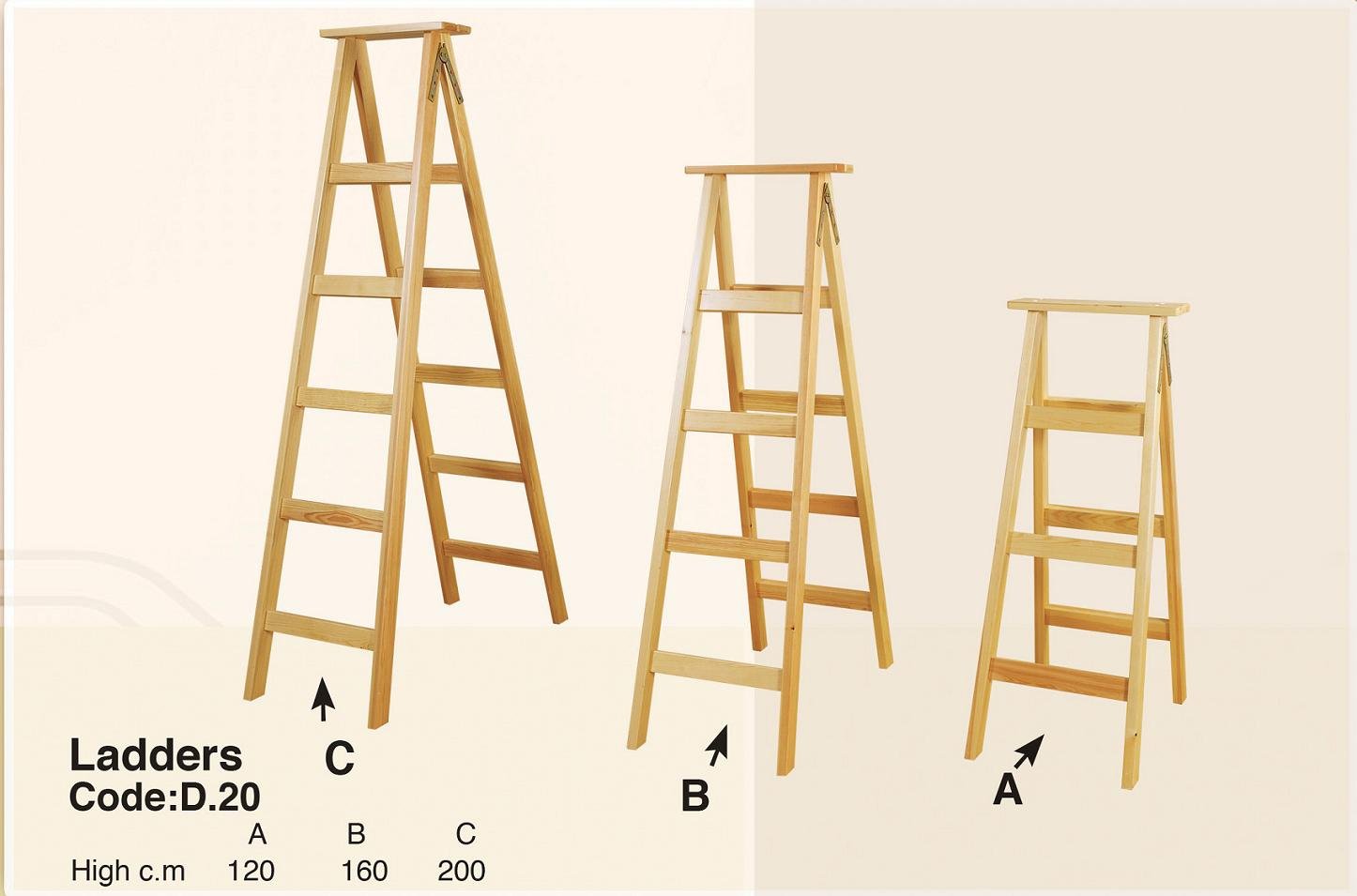 Ladder