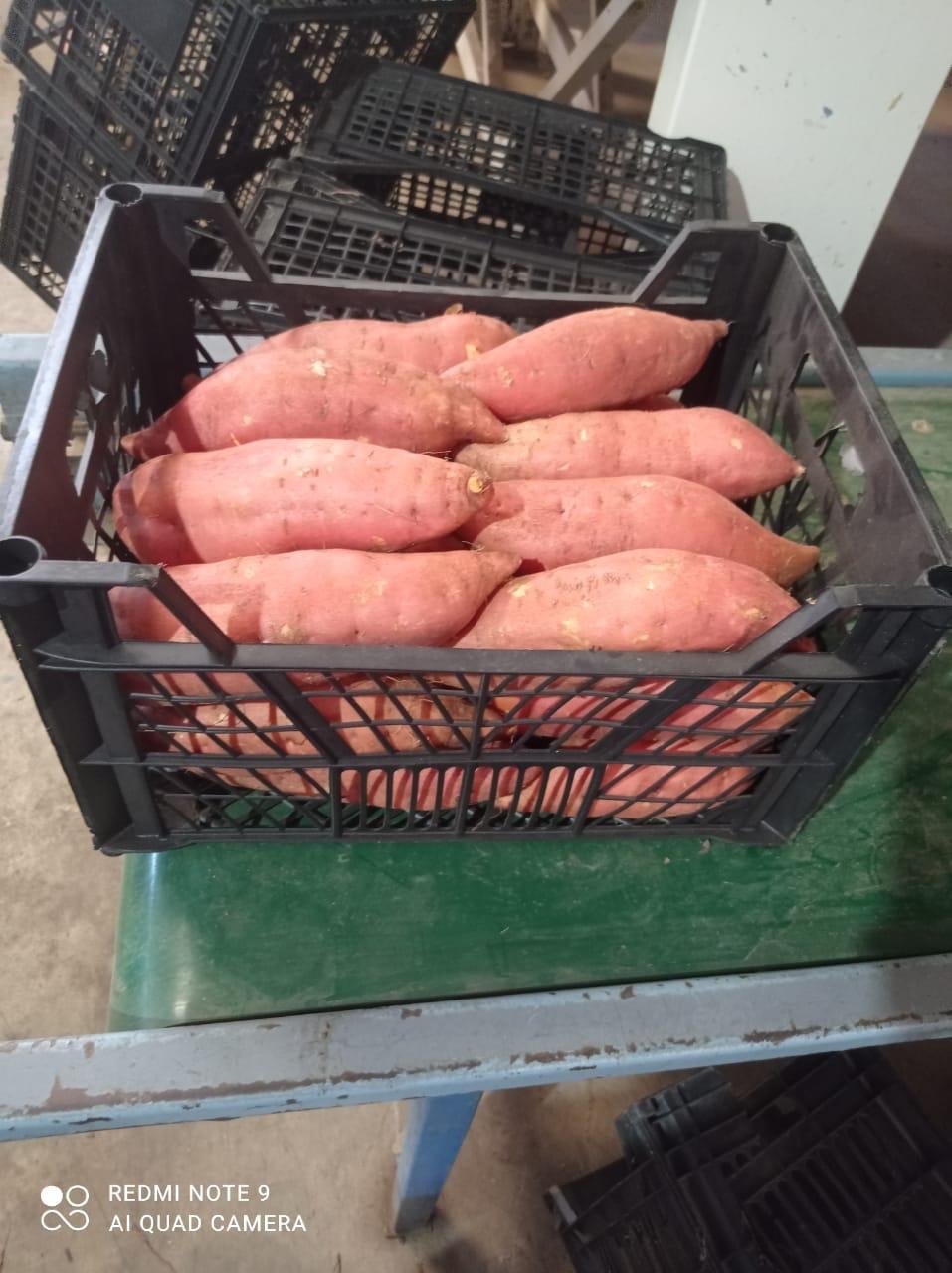 Sweet Potato#بطاطا حلوة