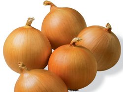Yellow Onion