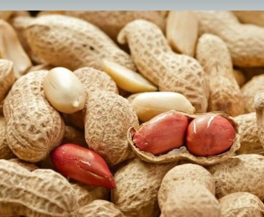 The extra-white In-shell peanut