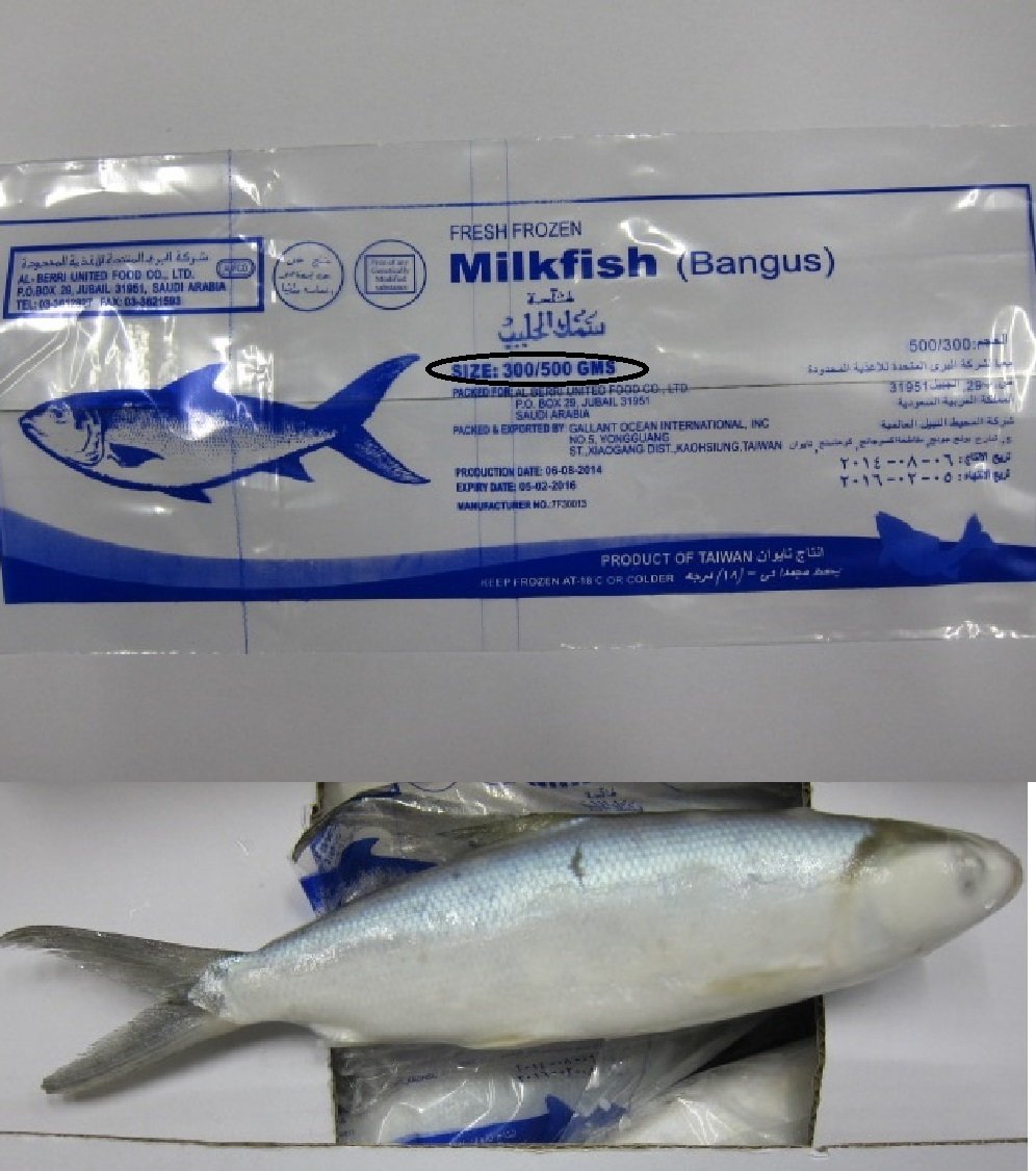 MILK FISH